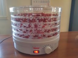In totale questa pianta ci ha lasciato 1Kg di peperoncini Carolina Reaper belli piccanti. Una parte di quel chilo è dentro questo essiccatore.