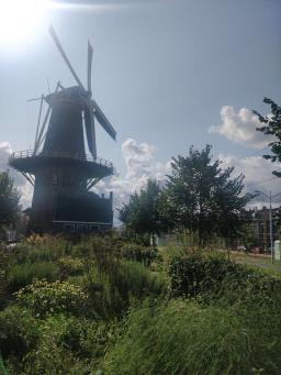 foto/delft/IMG_20230831_111220.jpg