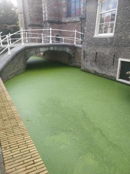 foto/delft/IMG_20230831_123701.jpg