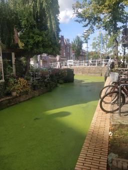 foto/delft/IMG_20230831_123707.jpg