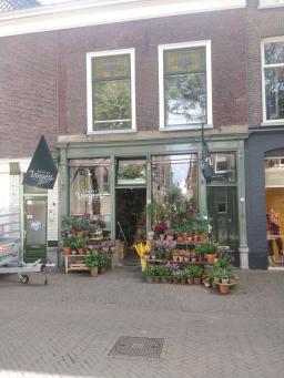 foto/delft/IMG_20230831_144157.jpg
