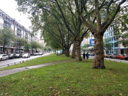 foto/rotterdam/IMG_20230830_102956.jpg