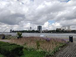 foto/rotterdam/IMG_20230830_130128.jpg
