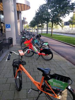 foto/rotterdam/IMG_20230831_092903.jpg