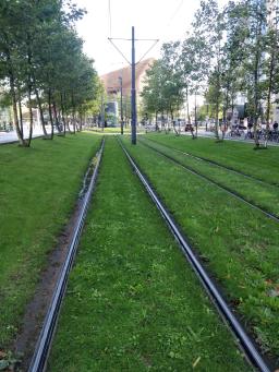 foto/rotterdam/IMG_20230831_093436.jpg