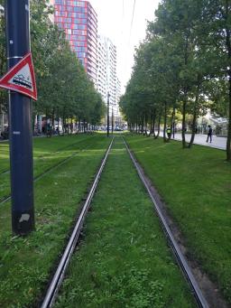 foto/rotterdam/IMG_20230831_093444.jpg