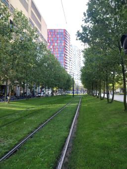 foto/rotterdam/IMG_20230831_093459.jpg