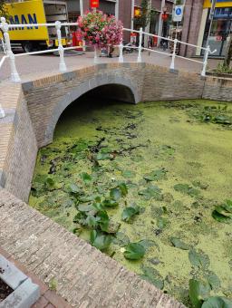 foto/Delft/IMG20240816133349.jpg