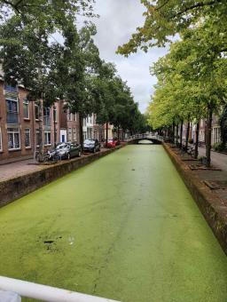 foto/Delft/IMG20240816134015.jpg