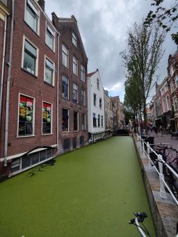 foto/Delft/IMG20240816172953.jpg