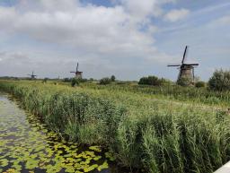 Foto scattata nell'area di Kinderdijk, riconosciuta dall'UNESCO come patrimonio mondiale. È possibile ammirare ben 19 di questi mulini a vento storici (hanno circa 700 anni) e ben mantenuti.