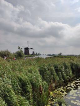 foto/Kinderdijk/IMG20240815120731.jpg