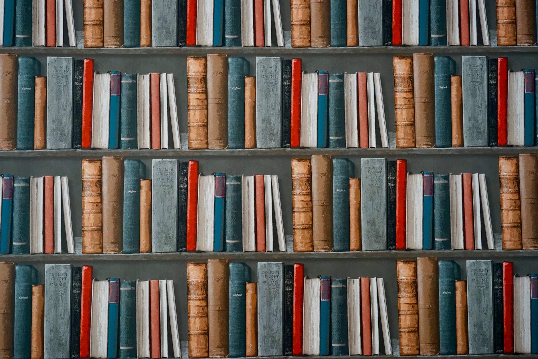 immagini/pexels-photo-1166657.jpg immagini/pexels-photo-1166657.jpg